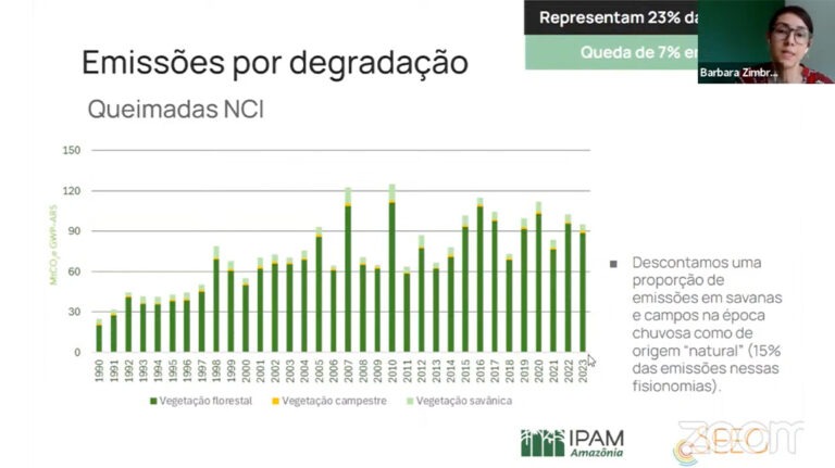 Panorama Setor Mudança e Uso da Terra, Bárbara Zimbres (EN: Panorama Land Use and Change).